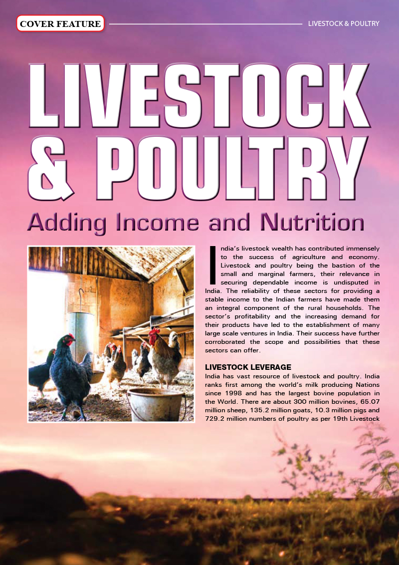Livestock  & Poultry