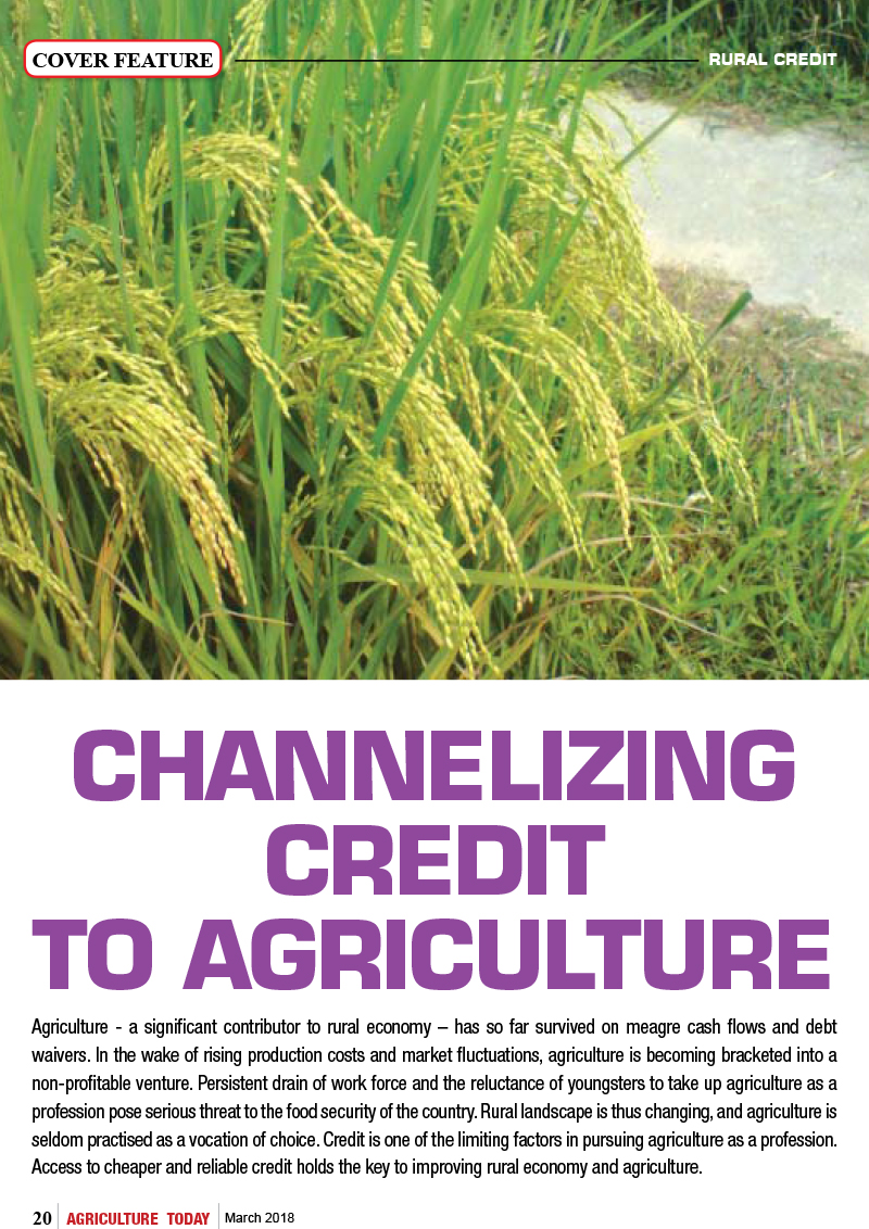 Channelizing  Credit to Agriculture