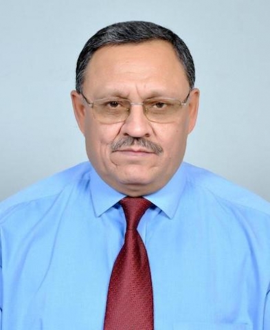 DR ALOK K SIKKA