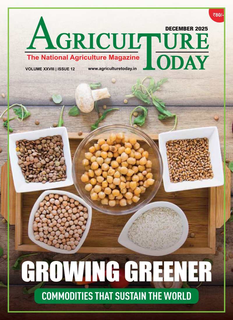 December Edition 2025