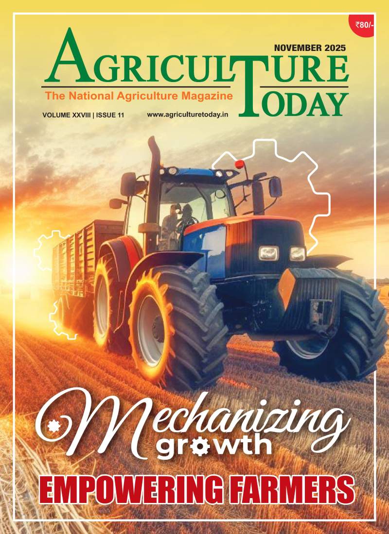 November Edition 2025