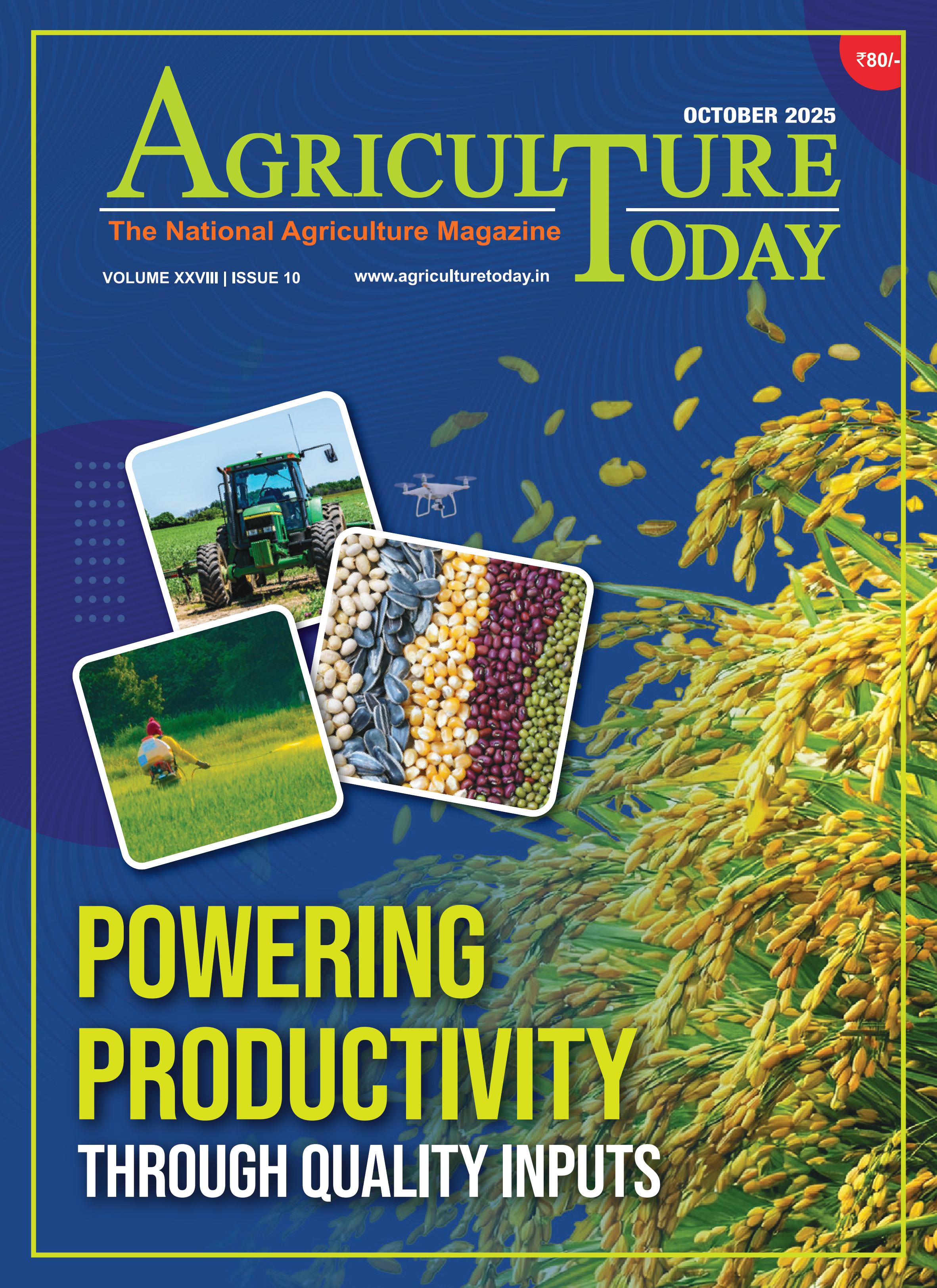 October Edition 2025