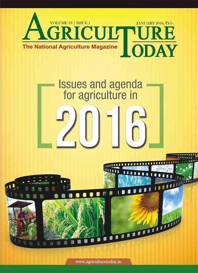View January 2016 